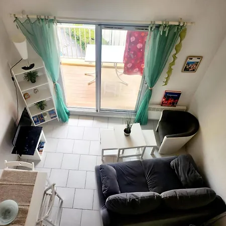 Duplex Vue Panoramique Sur Le Golfe De Giens Avec Piscine アパート